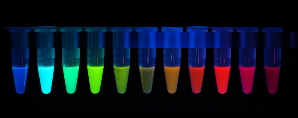 Fluorescent Proteins from the Tsien Lab